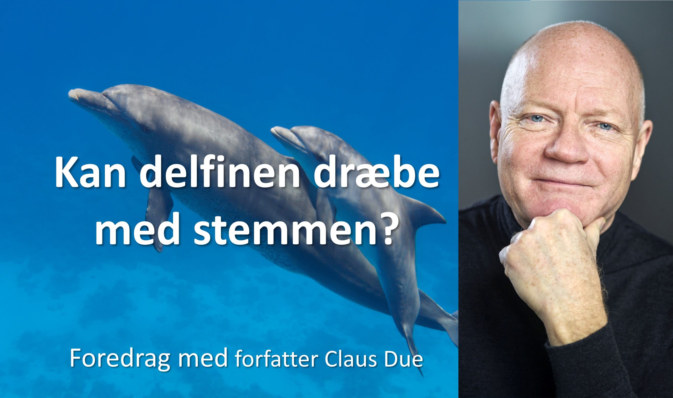 Kan delfiner dræbe med stemmen Foredrag med Claus Due